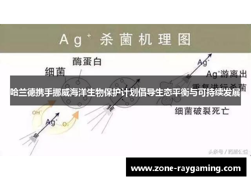 哈兰德携手挪威海洋生物保护计划倡导生态平衡与可持续发展