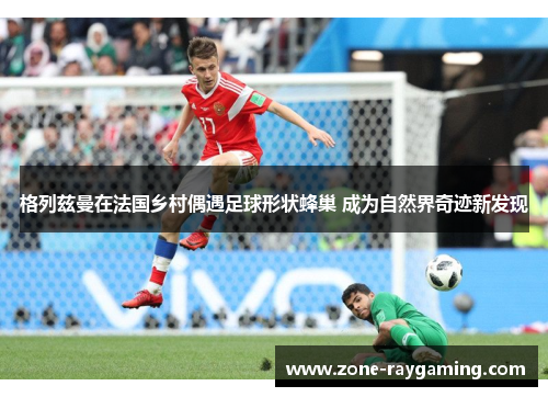 格列兹曼在法国乡村偶遇足球形状蜂巢 成为自然界奇迹新发现