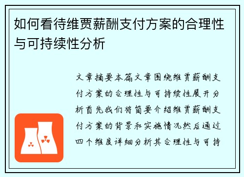如何看待维贾薪酬支付方案的合理性与可持续性分析