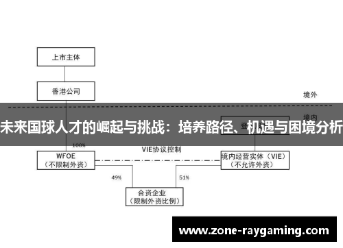 未来国球人才的崛起与挑战：培养路径、机遇与困境分析