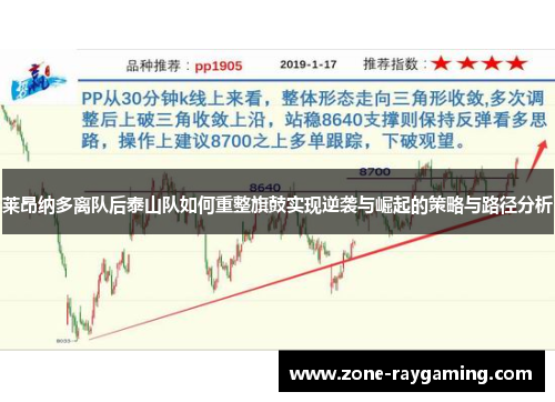 莱昂纳多离队后泰山队如何重整旗鼓实现逆袭与崛起的策略与路径分析