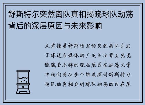 舒斯特尔突然离队真相揭晓球队动荡背后的深层原因与未来影响